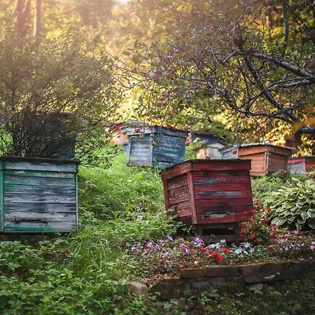 بيت للعطل Pasieka - Bacza