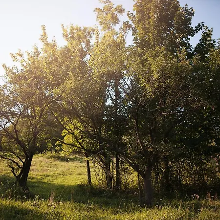Holiday home Pasieka - *