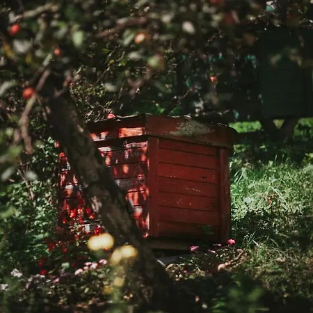 بيت للعطل Pasieka - *