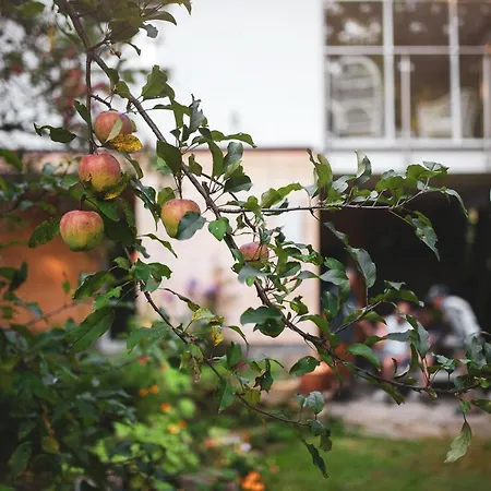 Casa de Férias Pasieka -