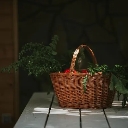 Casa de Férias Pasieka - Bacza