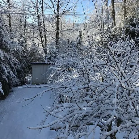 Pasieka - بيت للعطل Bacza