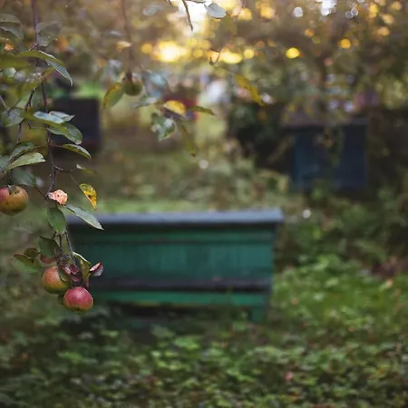 Prázdninový dům Pasieka - Bacza