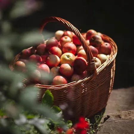 Pasieka - بيت للعطل