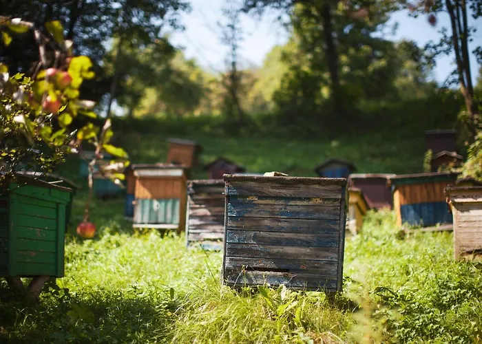 Pasieka - 度假居 Bacza