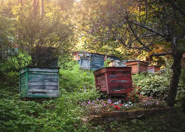 度假居 Pasieka - Bacza