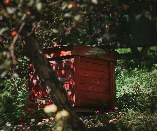 度假居 Pasieka - *