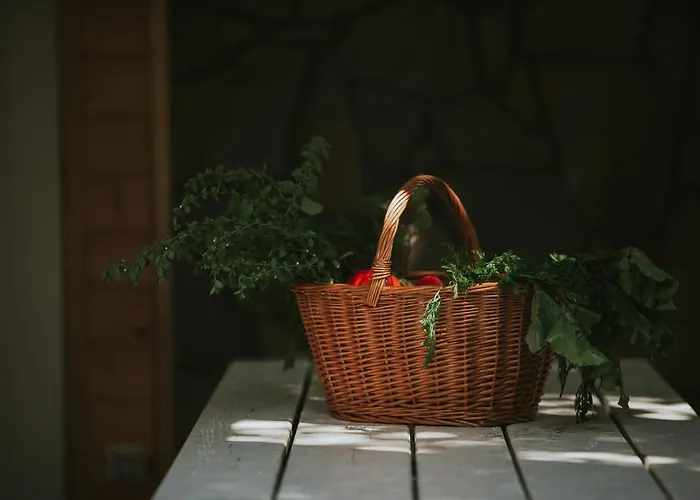 度假居 Pasieka - Bacza