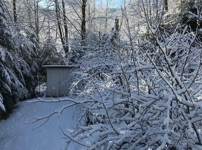 Pasieka - 度假居 Bacza