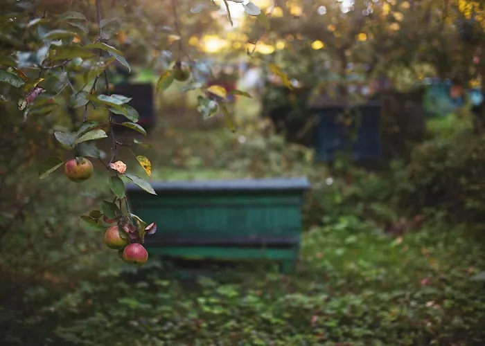 度假居 Pasieka - Bacza